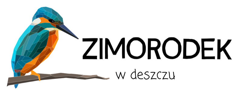 Zimorodek w deszczu